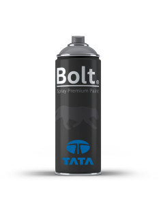 SPRAY BOLT PINTURA BICAPA...