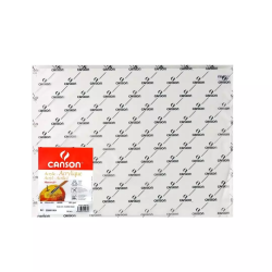 25 HOJAS PAPEL CANSON...